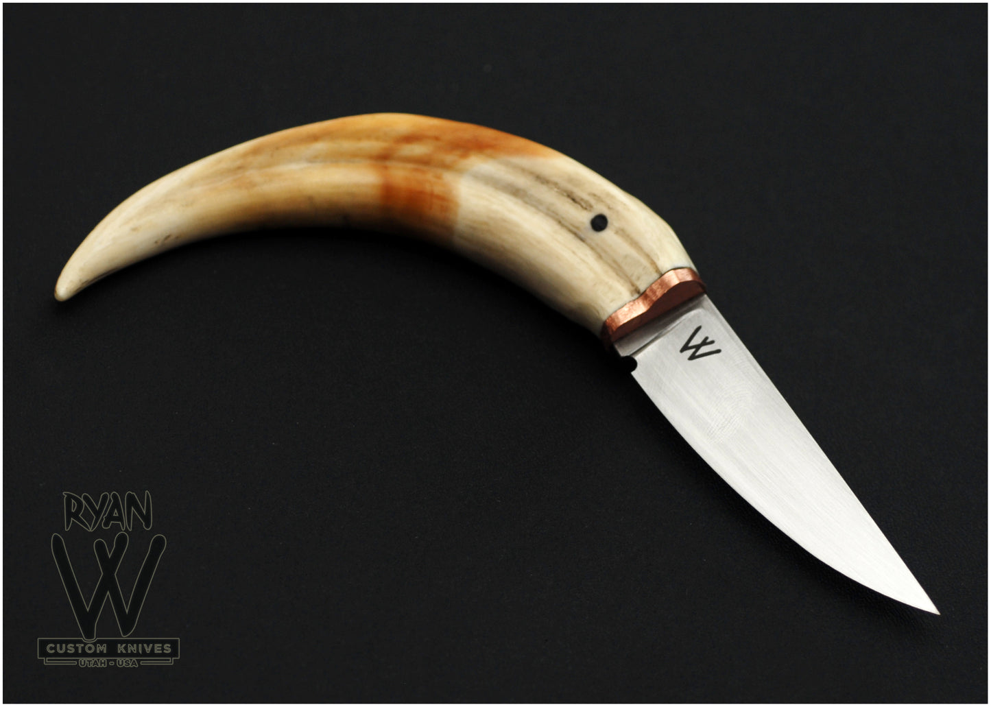 Custom Boar's Tusk Knife